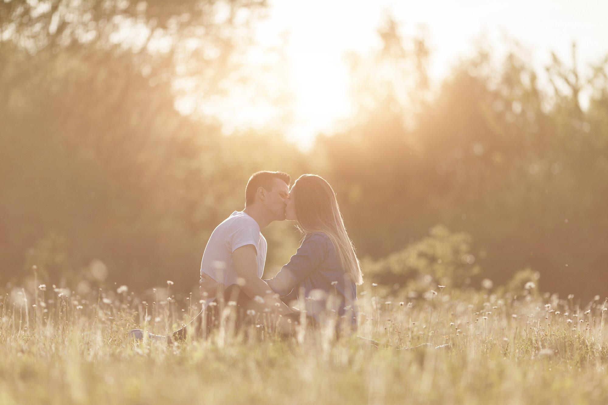 web Terrils engagement liseben 1664